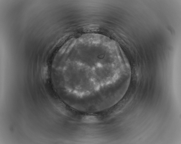X0000112970224200909241333