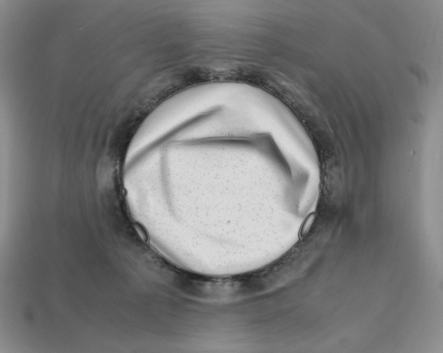 X0000112970225200909241333