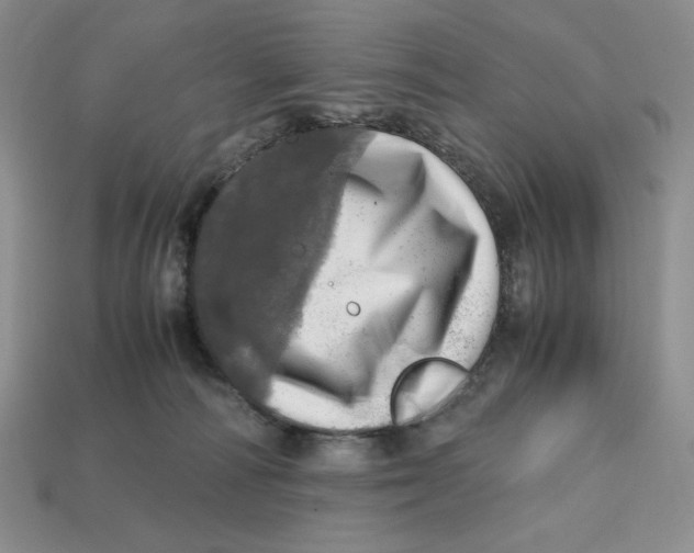 X0000112970226200909241333