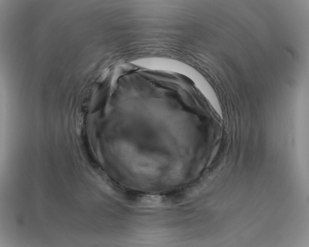X0000112970227200909241333