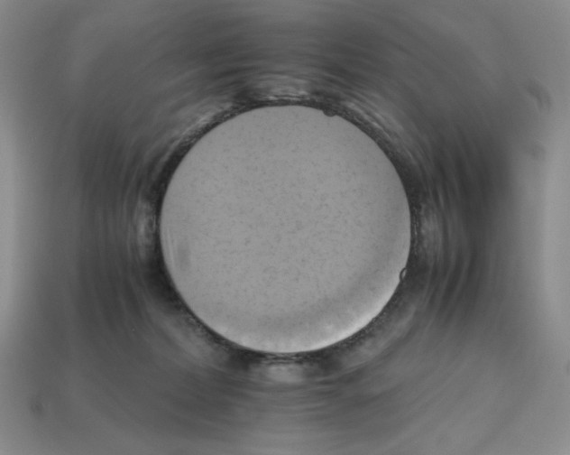 X0000112970228200909241333