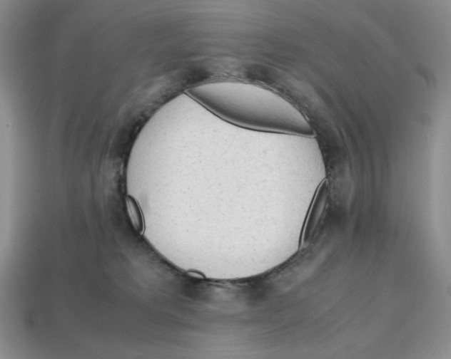 X0000112970229200909241333