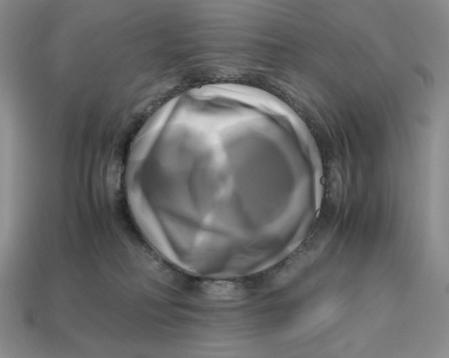 X0000112970230200909241333