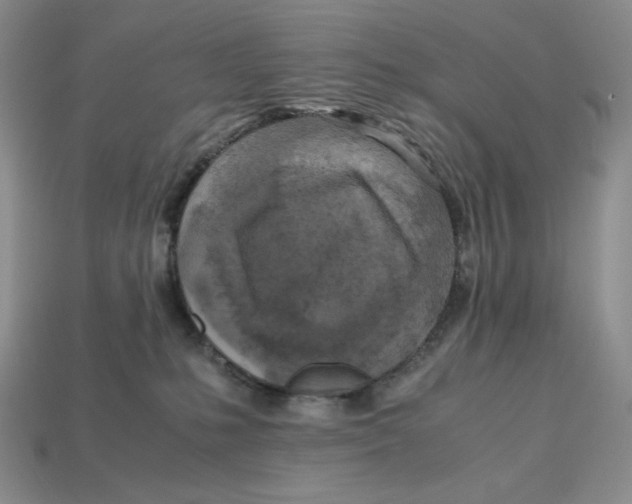 X0000112970231200909241333