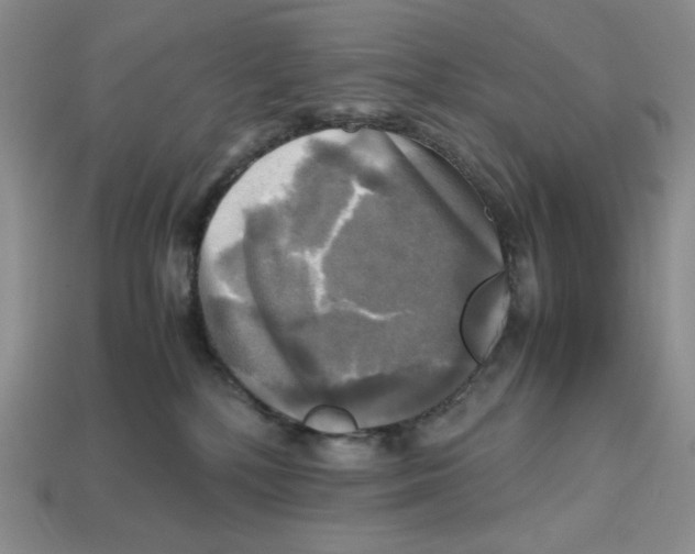 X0000112970232200909241333