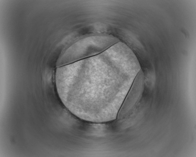X0000112970233200909241333
