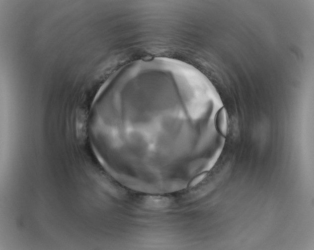 X0000112970234200909241333