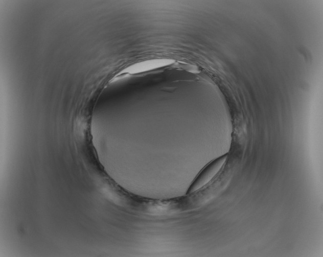 X0000112970235200909241333