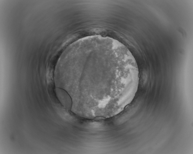 X0000112970236200909241333
