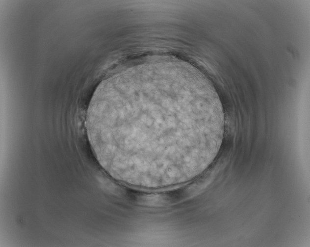 X0000112970237200909241333