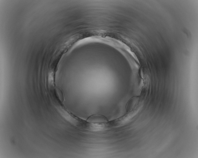 X0000112970238200909241333