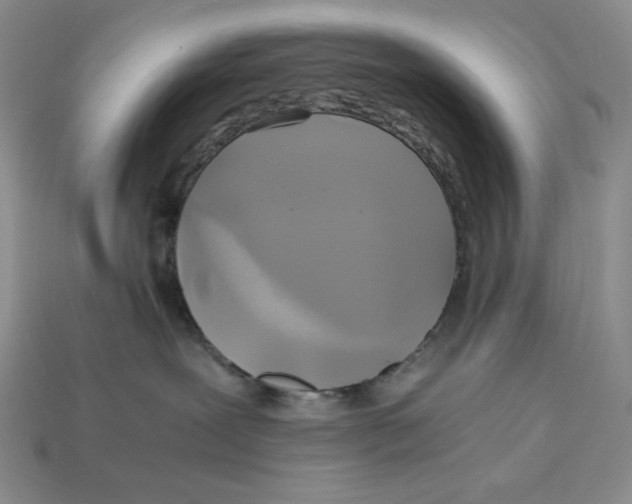 X0000112970239200909241333