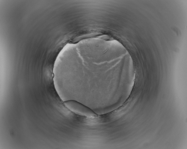 X0000112970240200909241333