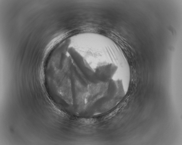 X0000112970245200909241332
