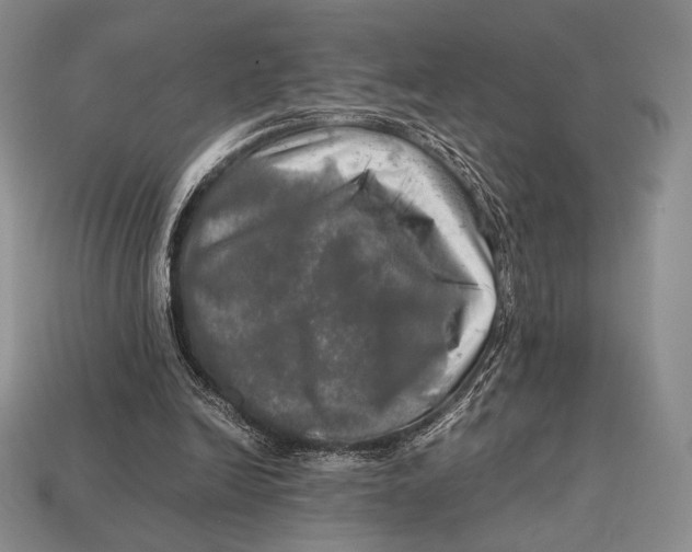 X0000112970246200909241332