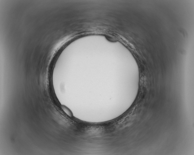 X0000112970248200909241332