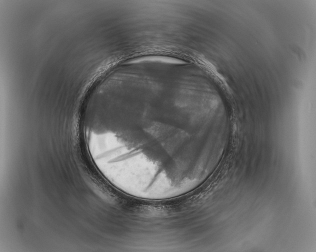 X0000112970250200909241332