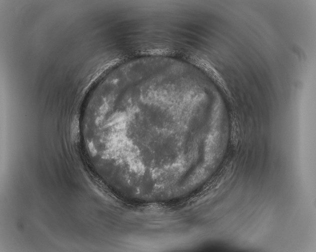 X0000112970251200909241332