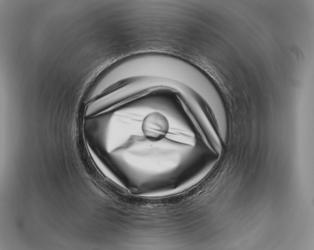 X0000112970252200909241332