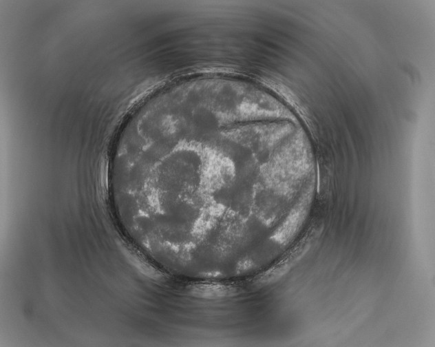 X0000112970253200909241332