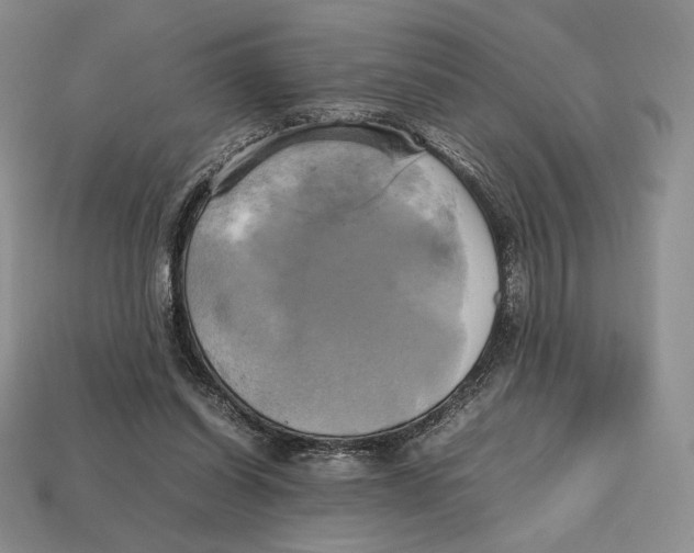 X0000112970254200909241332