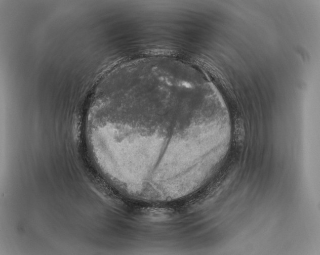 X0000112970255200909241332