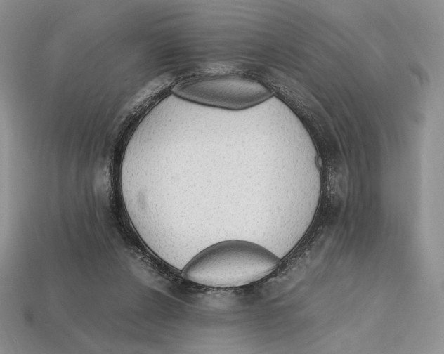 X0000112970256200909241332