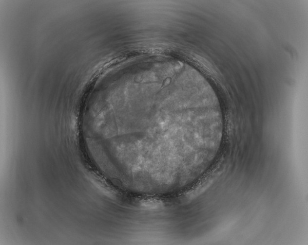X0000112970258200909241332