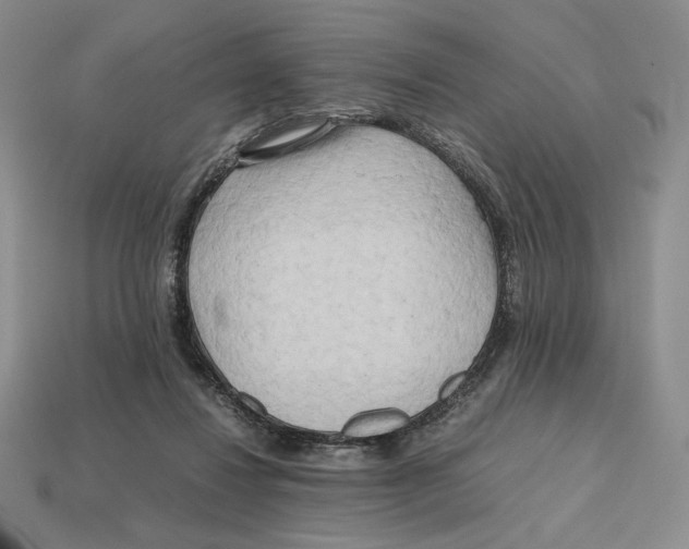 X0000112970260200909241332