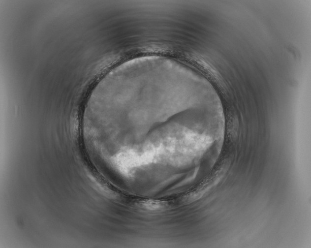 X0000112970261200909241332