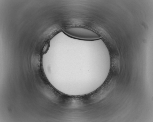 X0000112970264200909241332