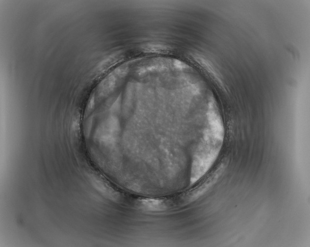 X0000112970265200909241332