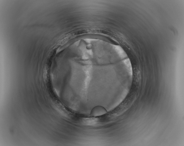 X0000112970266200909241332