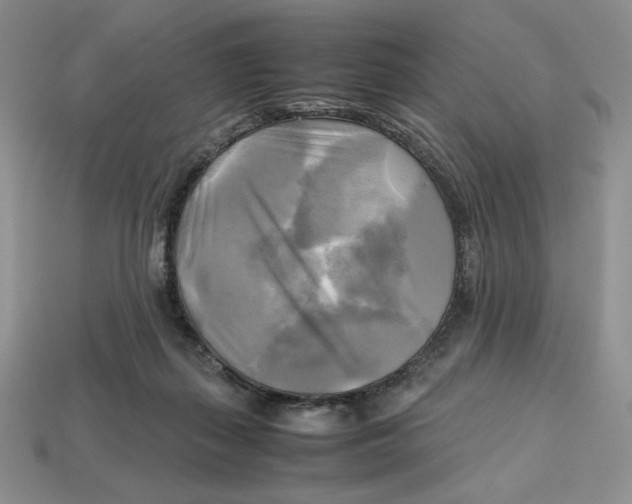 X0000112970267200909241332