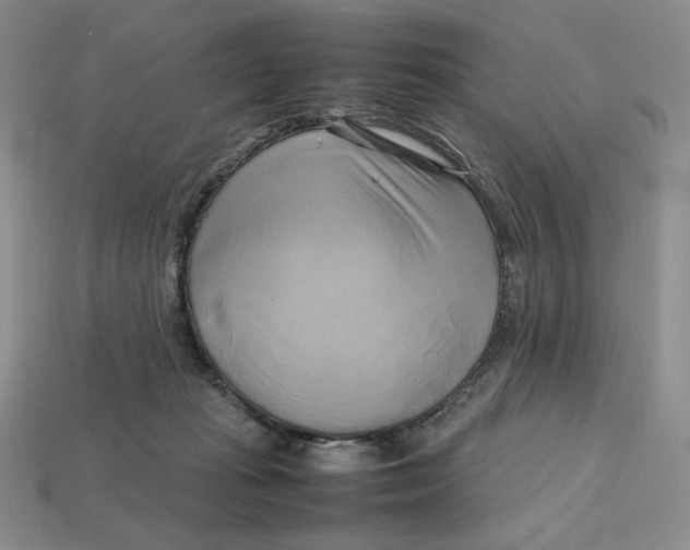 X0000112970269200909241332