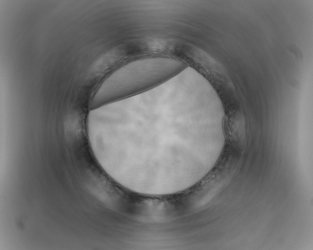 X0000112970272200909241333