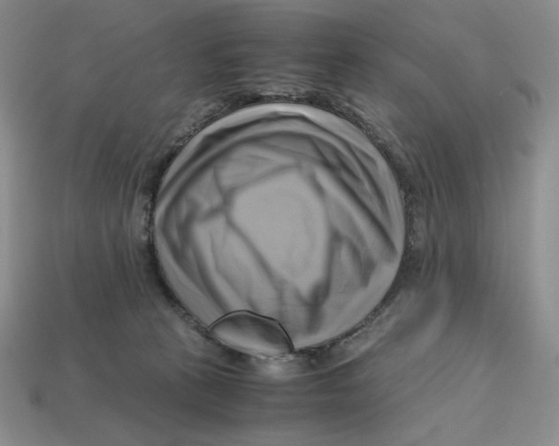 X0000112970273200909241333