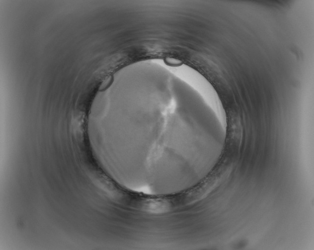 X0000112970275200909241333