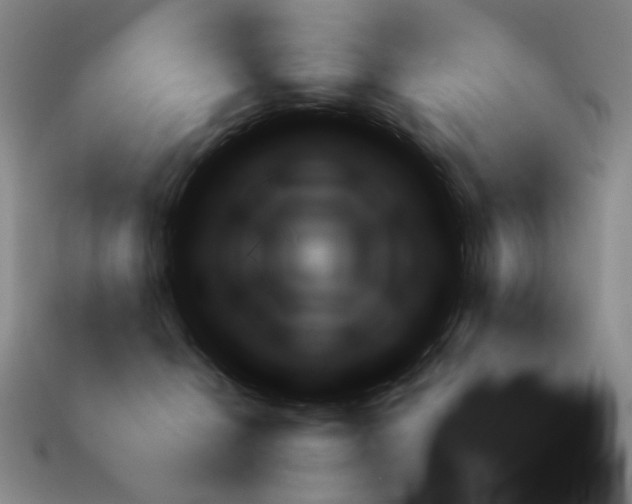 X0000112970276200909241333