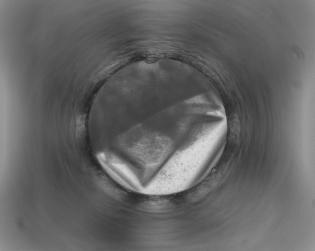 X0000112970278200909241333