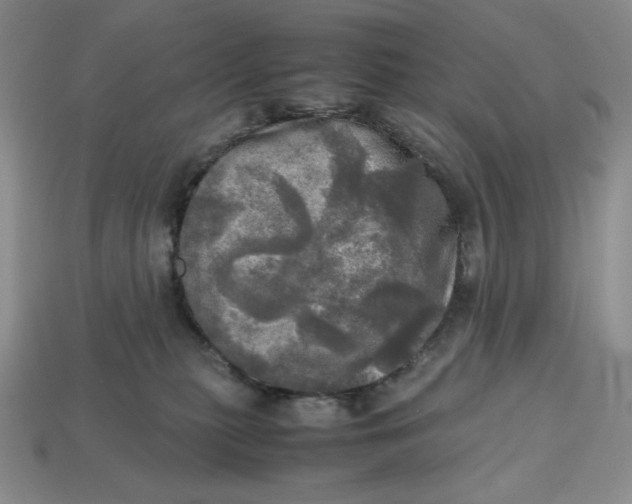 X0000112970279200909241333