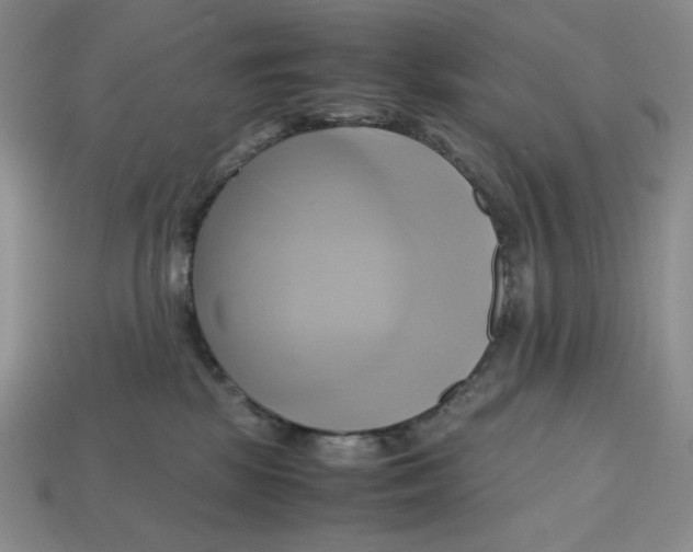 X0000112970281200909241333