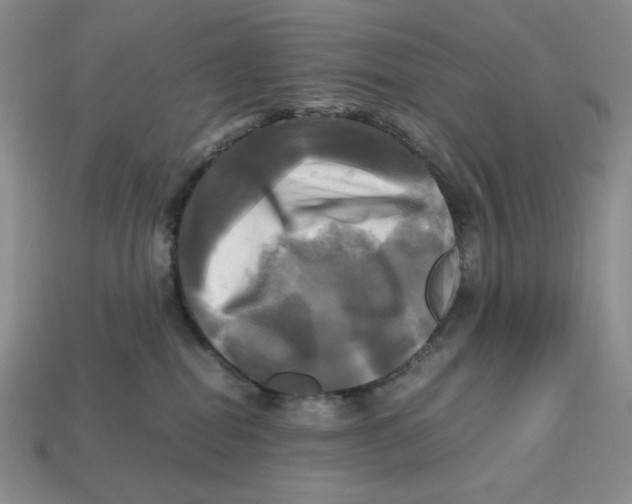 X0000112970282200909241333