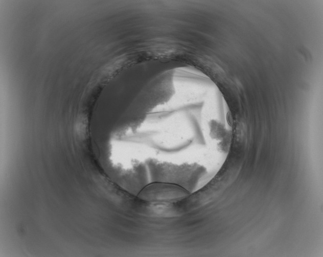 X0000112970283200909241333