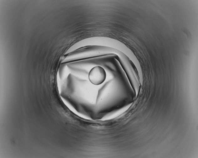 X0000112970284200909241333