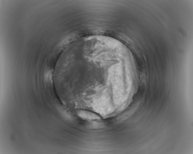 X0000112970286200909241333