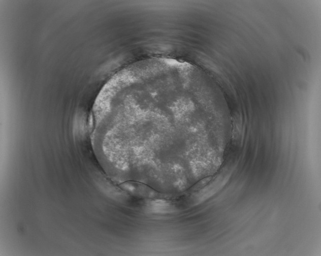 X0000112970287200909241333