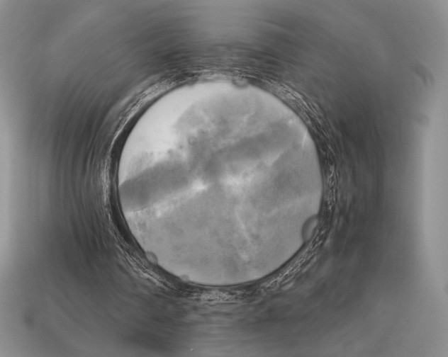 X0000112970290200909241332