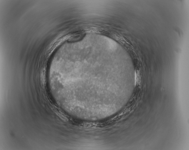 X0000112970291200909241332