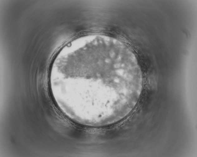 X0000112970293200909241332